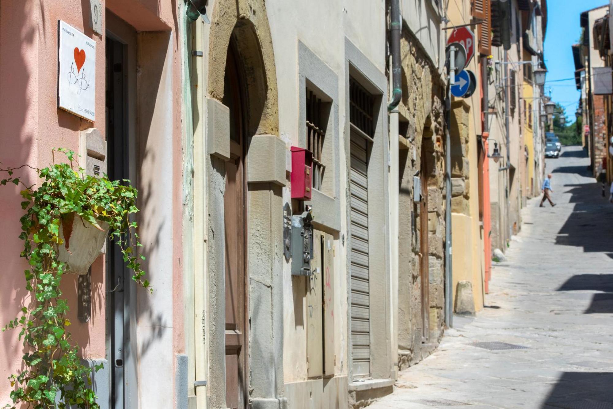 Bibi Boutique Arezzo Living Suite Rosafragola & Verdeconiglio Exteriér fotografie